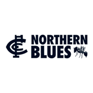 Northern Blues - Clinic 1 Physiotherapy
