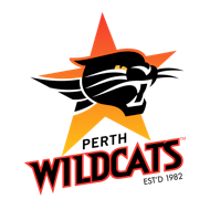 Perth Wildcats - Clinic 1 Physiotherapy